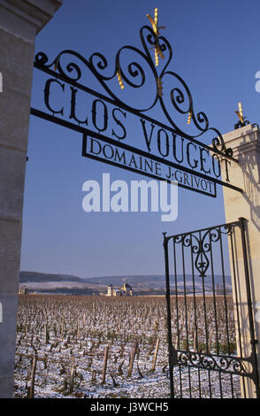 CLOS VOUGEOT NEVE INVERNALE imponente ingresso a cancello aperto al VIGNETO Grand Cru Clos de Vougeot in inverno sotto neve leggera, Vougeot, Côte d'Or, Francia. Foto Stock