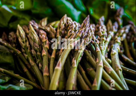 Gli asparagi di Asparagus officinalis cibo commestibile molla di gara prelibatezza vegetale i turioni degli asparagi nutriente antipasto piatto di lato Foto Stock