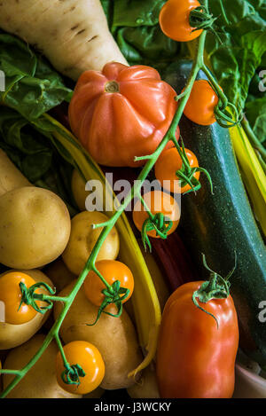 Vari ortaggi freschi alimenti fonte di nutrizione Ingredienti Pomodori pastinaca patate ingredienti per la cottura Foto Stock