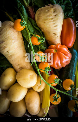 Vari ortaggi freschi alimenti fonte di nutrizione Ingredienti Pomodori pastinaca patate ingredienti per la cottura Foto Stock