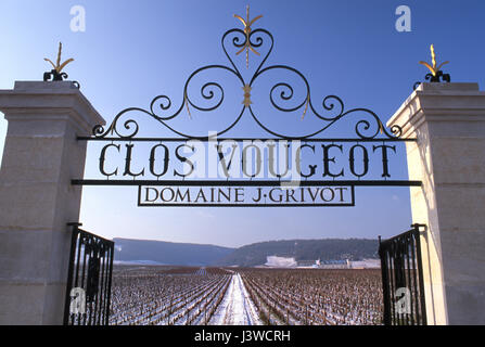 Clos de Vougeot imponente cancello aperto ingresso al vigneto Grand Cru Clos Vougeot, in inverno sotto la neve leggera, Vougeot, Côte d'Or, Francia. Foto Stock