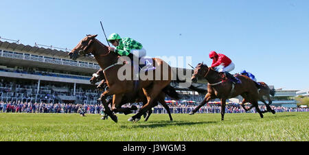 Taglio personalizzato cavalcato da Daniel Tudhope vince il Ard Glen costruzione Ametista picchetti a Leopardstown Racecourse. Foto Stock