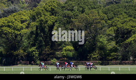 Taglio personalizzato cavalcato da Daniel Tudhope va a vincere l'Ard Glen costruzione Ametista picchetti a Leopardstown Racecourse. Foto Stock