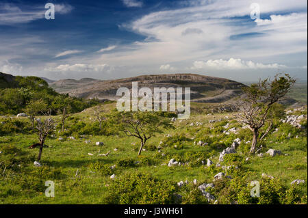 Guardando verso Slieve Roe, un calcare carbonifero montagna nel Burren, da Mullaghmore, County Clare, Irlanda Foto Stock