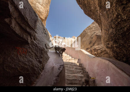 Scala verso il tempio Anjaneya, Hampi, Karnataka, India Foto Stock