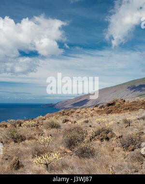 Vista ad ovest da Tacoron, El Hierro, Isole Canarie, verso El JULAN, un gigantesco argine coperto da giovani flussi di lava basaltica Foto Stock