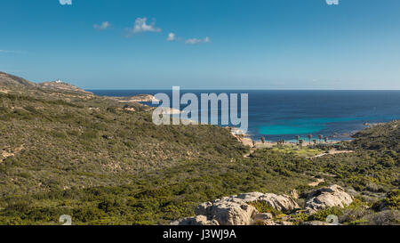 Vista della macchia mediterranea e la fascia costiera della Revellata vicino a Calvi lungo la costa occidentale della Corsica guardando verso il faro in distanza e mediterraneo turchese s Foto Stock