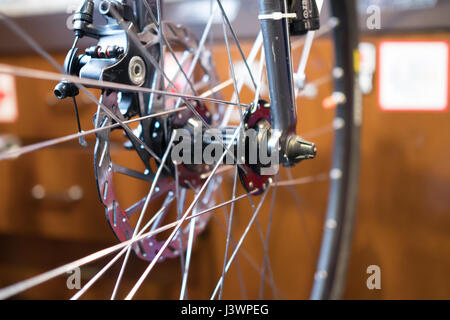 La ruota di bicicletta su sfondo sfocato Foto Stock