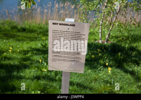 "Bosco umido' segno da stagno in Queen Elizabeth Olympic Park, Stratford, Londra. Foto Stock