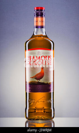 La famosa Grouse whisky mescolato sul gradiente dello sfondo. Foto Stock