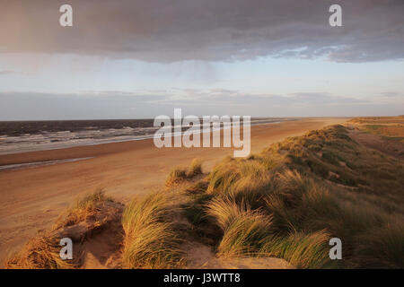 Tramonto sulle dune di sabbia in spiaggia Holkham, Wells-Next-The-Sea, Norfolk, Inghilterra, Regno Unito Foto Stock