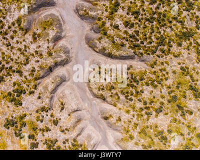 Antenna di spartiacque del Lago di soda e fiori selvatici, Carrizo Plains monumento nazionale, California Foto Stock