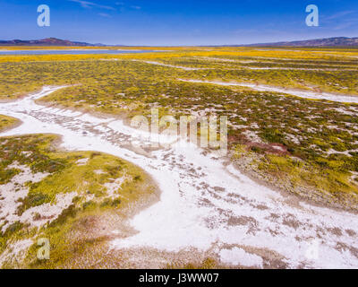 Antenna di spartiacque del Lago di soda e fiori selvatici, Carrizo Plains monumento nazionale, California Foto Stock