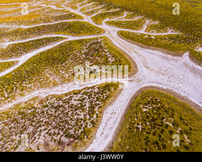 Antenna di spartiacque del Lago di soda e fiori selvatici, Carrizo Plains monumento nazionale, California Foto Stock