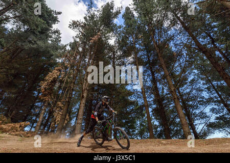 Christchurch, Nuova Zelanda. Xix Dec, 2016. Christchurch, Nuova Zelanda - 19 dicembre 2016 - Un mountain biker a cavallo su un percorso in discesa a Christchurch parco avventura sul dicembre 19, 2016 a Christchurch, Nuova Zelanda. Christchurch Adventure Park è il più grande parco di mountain bike nel Sud del mondo e si aspetta di essere una grande attrazione turistica. Esso sarà aperto al pubblico il 21 dicembre. | Utilizzo di credito in tutto il mondo: dpa/Alamy Live News Foto Stock