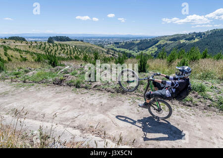 Christchurch, Nuova Zelanda. Xix Dec, 2016. Christchurch, Nuova Zelanda - 19 dicembre 2016 - Un mountain biker a cavallo su un percorso in discesa a Christchurch parco avventura sul dicembre 19, 2016 a Christchurch, Nuova Zelanda. Christchurch Adventure Park è il più grande parco di mountain bike nel Sud del mondo e si aspetta di essere una grande attrazione turistica. Esso sarà aperto al pubblico il 21 dicembre. | Utilizzo di credito in tutto il mondo: dpa/Alamy Live News Foto Stock