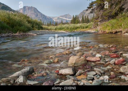 Un torrente di montagna nel Parco Nazionale di Glacier, Montana, USA. Foto Stock