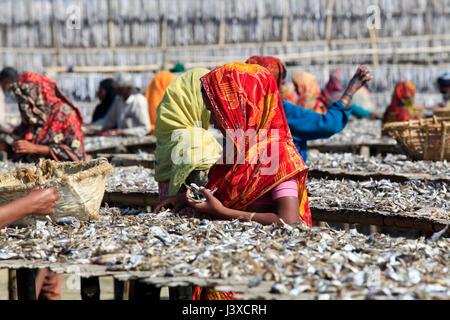 Lavoratori la lavorazione del pesce per essere essiccato a Nazirartek pesce secco impianto In Cox bazar, Bangladesh. Foto Stock