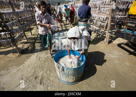 Una donna salse pesce secco nel fenile, un elettrodomestico roba di pulizia a secco Nazirartek Fish Plant. Fa questo per lavare il pesce e anche per tenere lontani gli insetti Foto Stock