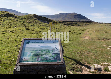 La montagna di Ingleborough da Southerscales, Yorkshire Dales National Park, Regno Unito Foto Stock