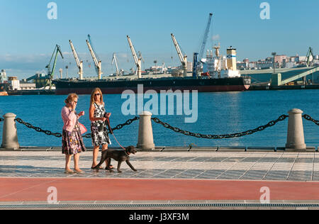 Persone con il cane sul lungomare porto commerciale, La Coruna, regione della Galizia, Spagna, Europa Foto Stock