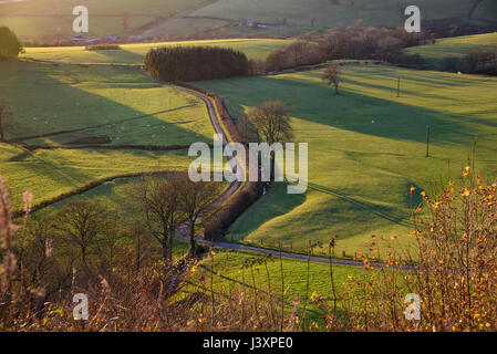 Paesaggio e farm road vicino a Llandrindod Wells, Rhayader, POWYS, GALLES. Foto Stock