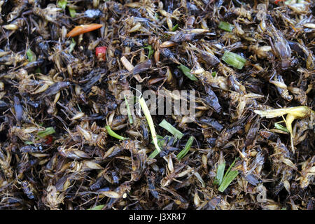 Acqua scorpion spuntini per la vendita ad un lato della strada in stallo Foto Stock