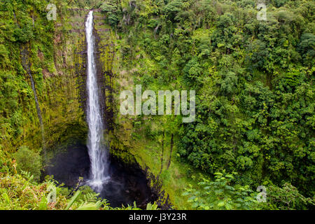 Il Akaka cade nel Akaka Falls State Park sulla Big Island, Hawaii, Stati Uniti d'America. Foto Stock