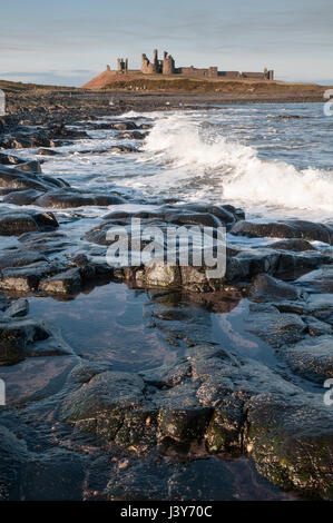 Il castello di Dunstanburgh sulla sua pedana Whin affioramento, visto da sud. Il castello, costruito nel XIV secolo, cadde in abbandono da parte del XVI secolo. Foto Stock