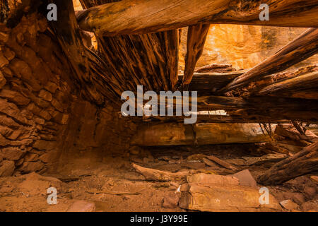 Interno di una camera, che mostra la costruzione del tetto tecniche) un ancestrale rovina dei Pueblo in Road Canyon (presa attraverso l'apertura senza entrare in rovina) ho Foto Stock