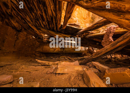 Interno di una camera, che mostra la costruzione del tetto tecniche) un ancestrale rovina dei Pueblo in Road Canyon (presa attraverso l'apertura senza entrare in rovina) ho Foto Stock