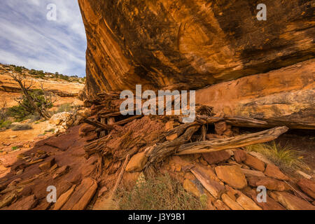 Ancestrale rovina dei Pueblo in Road Canyon, che mostra la costruzione del tetto utilizzando tecniche di poli di ginepro, piccoli bastoni e corteccia, e fango, negli orsi orecchie Nati Foto Stock