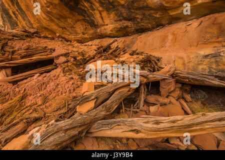 Ancestrale rovina dei Pueblo in Road Canyon, che mostra la costruzione del tetto utilizzando tecniche di poli di ginepro, piccoli bastoni e corteccia, e fango, negli orsi orecchie Nati Foto Stock