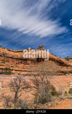 Paesaggio in strada Canyon, dove tanti dei Pueblo ancestrali rovine si trovano in porta le orecchie del monumento nazionale, Southern Utah, Stati Uniti d'America Foto Stock