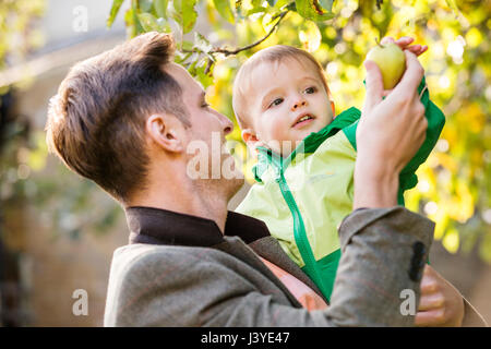 Padre e figlio toddler prelevare un Apple in giardino Foto Stock