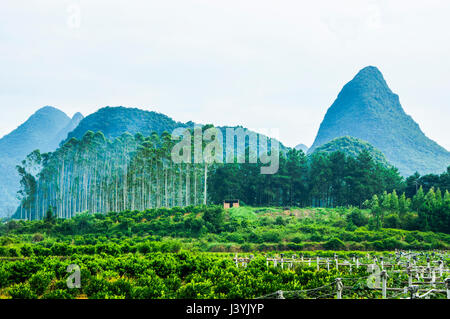 Montagne carsiche e paesaggi rurali in estate Foto Stock