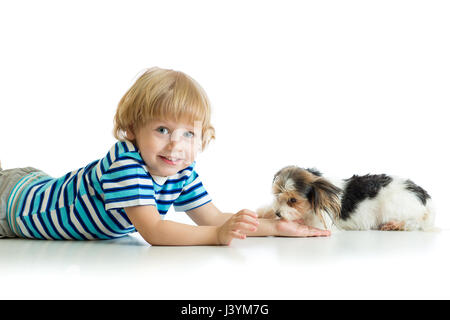 L'amicizia tra il bambino e la cute cane Yorkie terrier Foto Stock