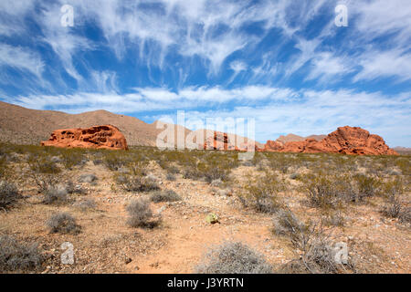 Pietra arenaria rossa formazioni in il Parco della Valle di Fire State, Nevada, Stati Uniti d'America. Foto Stock