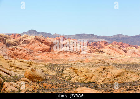 Pietra arenaria rossa formazioni in il Parco della Valle di Fire State, Nevada, Stati Uniti d'America. Foto Stock