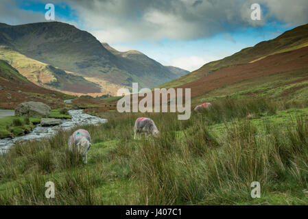 Gatesgarthdale Beck, Honister pass, Keswick, Cumbria, Lake District.UK Foto Stock