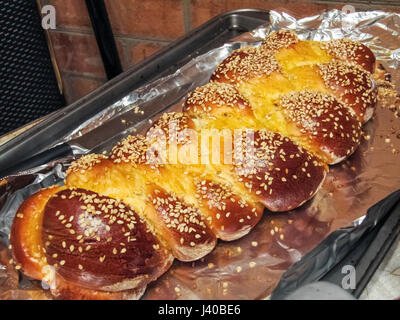 Freschi Fatti in casa grande focaccia di giallo Challah pane sulla lamina di alluminio da forno cosparso di semi di sesamo Foto Stock