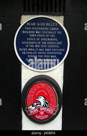 Orso e la placca di billette Foto Stock