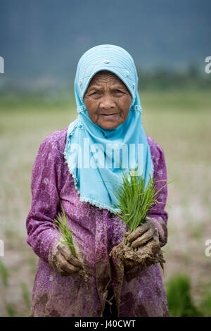 Ritratto di una femmina di campo di riso lavoratore presso la valle Harau, Sumatra, Indonesia. Foto Stock