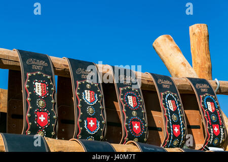 Campane delle mucche, vincitore di premi, il combattimento di Queens, Swiss combattimenti di mucche, Le Chable, Vallese, Svizzera Foto Stock