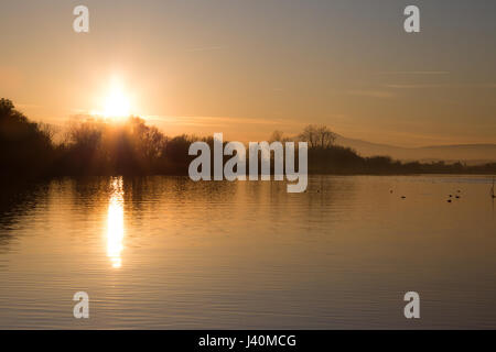 Bel Tramonto sul lago, con alberi e sun riflettendo su acqua e uccelli Foto Stock