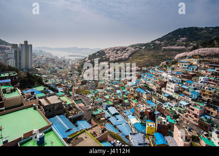 Vista del dipinto luminosamente case in cultura Gamcheon Village, Busan Gwangyeoksi, Corea del Sud Foto Stock