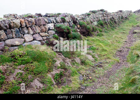 Una pietra a secco muro costruito da blocchi di granito di diverse dimensioni e colori a Cape Cornwall, Cornwall, Regno Unito Foto Stock