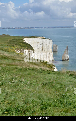 I Pinnacoli, una serie di chalk mare pile off la costa del Dorset a Studland Foto Stock