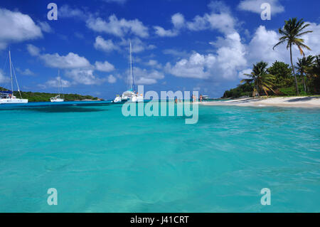 Le navi a vela sul mare e la spiaggia con le palme, Petit Rameau, Tobago Cays, Saint Vincent, Saint Vincent e Grenadine, Piccole Antille, West Indies, isole Windward, Antille, dei Caraibi e America centrale Foto Stock