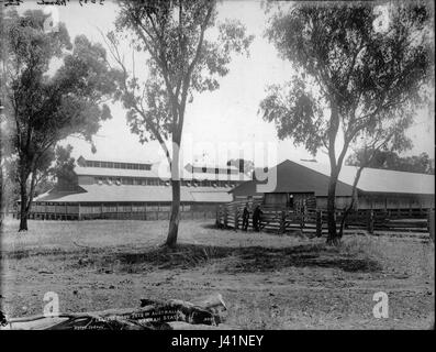 Più grande capannone di lana in Australia, stazione Warrah dal Powerhouse Museum Collection Foto Stock